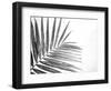 Leaf Study VI-Donnie Quillen-Framed Art Print