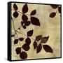 Leaf Study-Sloane Addison  -Framed Stretched Canvas