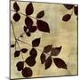 Leaf Study-Sloane Addison  -Mounted Art Print