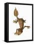 Leaf-tailed Gecko-Martin Harvey-Framed Stretched Canvas