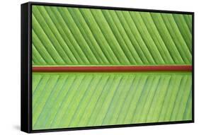 Leaf Texture V-Cora Niele-Framed Stretched Canvas