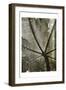 Leaf Umbrella-Milli Villa-Framed Art Print