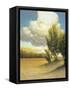 Leaf Valley-Stephen Henning-Framed Stretched Canvas