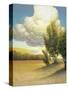 Leaf Valley-Stephen Henning-Stretched Canvas