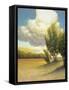 Leaf Valley-Stephen Henning-Framed Stretched Canvas