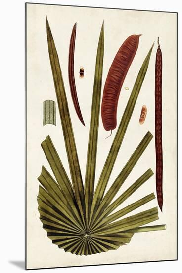 Leaf Varieties VI-Vision Studio-Mounted Art Print