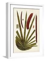 Leaf Varieties VI-Vision Studio-Framed Art Print