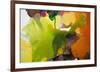 Leaf-Lina Alattar-Framed Art Print