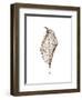 Leaf-Design Fabrikken-Framed Premium Photographic Print