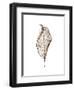 Leaf-Design Fabrikken-Framed Premium Photographic Print