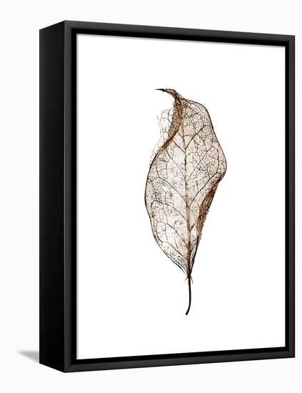 Leaf-Design Fabrikken-Framed Stretched Canvas