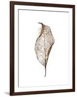 Leaf-Design Fabrikken-Framed Photographic Print