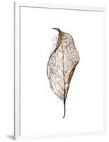 Leaf-Design Fabrikken-Framed Photographic Print