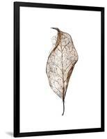 Leaf-Design Fabrikken-Framed Photographic Print