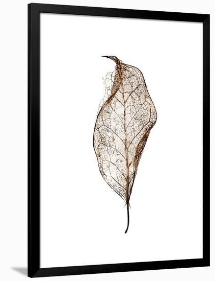 Leaf-Design Fabrikken-Framed Photographic Print