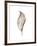 Leaf-Design Fabrikken-Framed Photographic Print