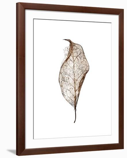 Leaf-Design Fabrikken-Framed Photographic Print
