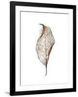 Leaf-Design Fabrikken-Framed Photographic Print