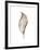 Leaf-Design Fabrikken-Framed Photographic Print