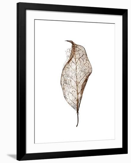 Leaf-Design Fabrikken-Framed Photographic Print