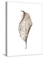 Leaf-Design Fabrikken-Stretched Canvas