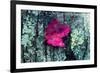 Leaf-Mark Ashkenazi-Framed Giclee Print