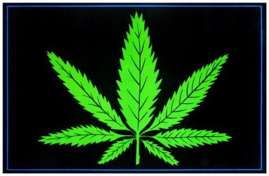 Blacklight Poster, , large