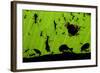 Leafcutter Ants (Atta Sp) Colony Harvesting a Banana Leaf, Costa Rica-Bence Mate-Framed Photographic Print