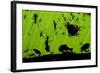 Leafcutter Ants (Atta Sp) Colony Harvesting a Banana Leaf, Costa Rica-Bence Mate-Framed Photographic Print