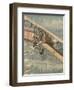 Leaflet Distribution-Alfredo Ortelli-Framed Art Print