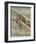 Leaflet Distribution-Alfredo Ortelli-Framed Art Print