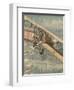 Leaflet Distribution-Alfredo Ortelli-Framed Art Print