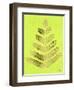 Leaflets in Gold on Lime – Cat Coqullette-Cat Coquillette-Framed Premium Giclee Print