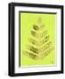 Leaflets in Gold on Lime – Cat Coqullette-Cat Coquillette-Framed Premium Giclee Print