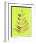 Leaflets in Gold on Lime – Cat Coqullette-Cat Coquillette-Framed Premium Giclee Print