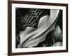 Leafs and Ferns, Hawaii, 1979-Brett Weston-Framed Photographic Print