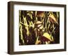 Leafs On Vine Liquid Pencil Drawing-Anthony Paladino-Framed Giclee Print