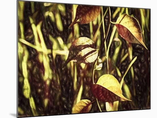 Leafs On Vine Liquid Pencil Drawing-Anthony Paladino-Mounted Giclee Print