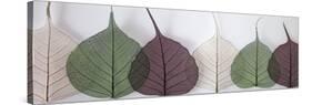 Leafy Address-Assaf Frank-Stretched Canvas