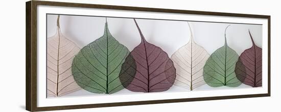 Leafy Address-Assaf Frank-Framed Premium Giclee Print