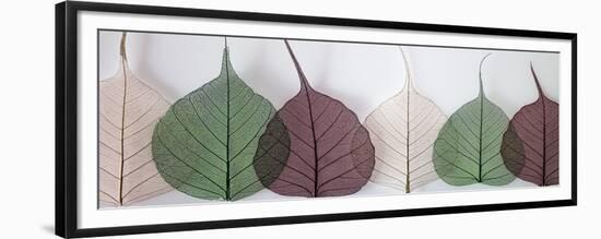 Leafy Address-Assaf Frank-Framed Premium Giclee Print