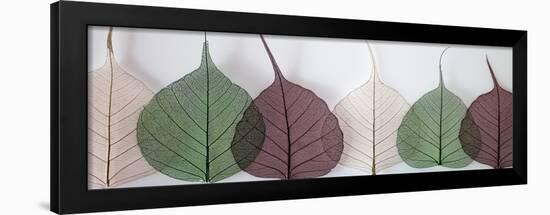 Leafy Address-Assaf Frank-Framed Art Print