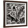 Leafy Collage I-Alan Hausenflock-Framed Photographic Print