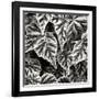 Leafy Collage I-Alan Hausenflock-Framed Photographic Print