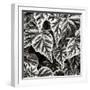 Leafy Collage I-Alan Hausenflock-Framed Photographic Print