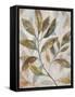 Leafy Flow I-Danhui Nai-Framed Stretched Canvas