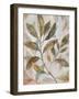 Leafy Flow I-Danhui Nai-Framed Art Print