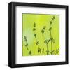 Leafy Green 1-null-Framed Art Print