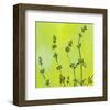 Leafy Green 1-null-Framed Art Print