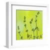 Leafy Green 1-null-Framed Art Print